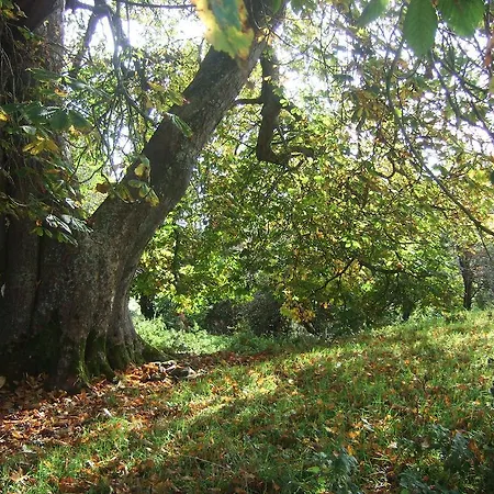 בית נופש Tymon Self-catering Gorteen (Sligo)