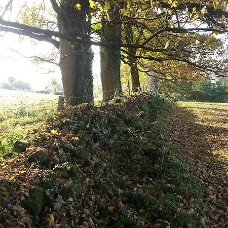 בית נופש Tymon Self-catering