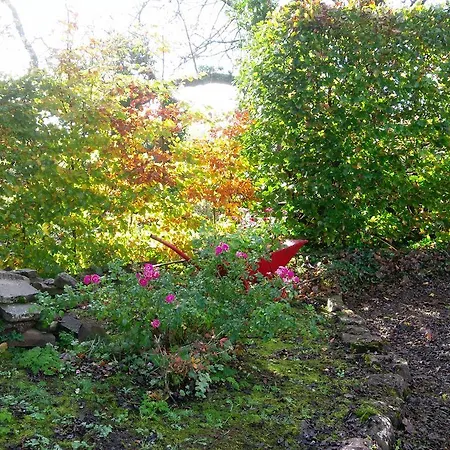 Tymon Self-catering *