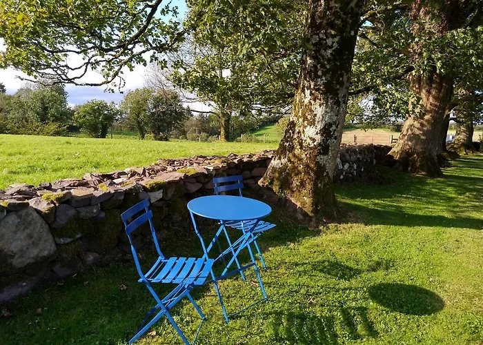 펜션 Tymon Self-catering *