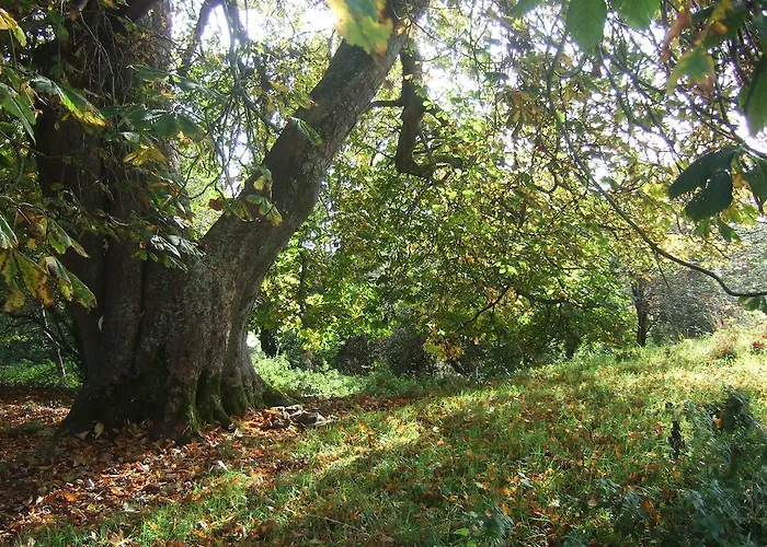 펜션 Tymon Self-catering Gorteen (Sligo)