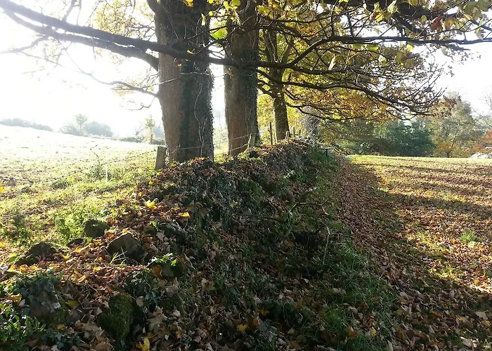 펜션 Tymon Self-catering