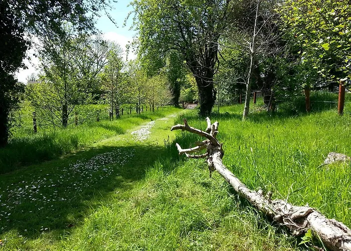 펜션 Tymon Self-catering