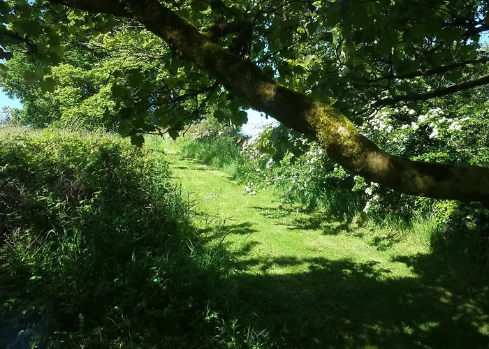 Tymon Self-catering *